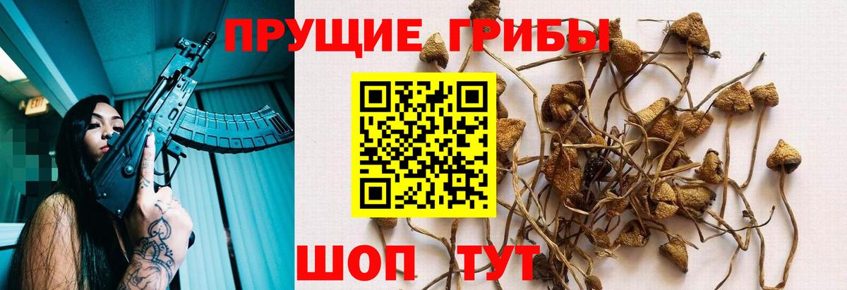 Борисоглебск  Псилоцибиновые грибы ЛСД  Вход с VPN 